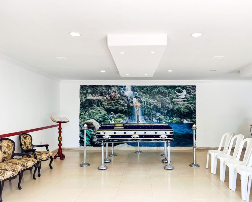 Diseño sin título - 2025-03-27T150737.173